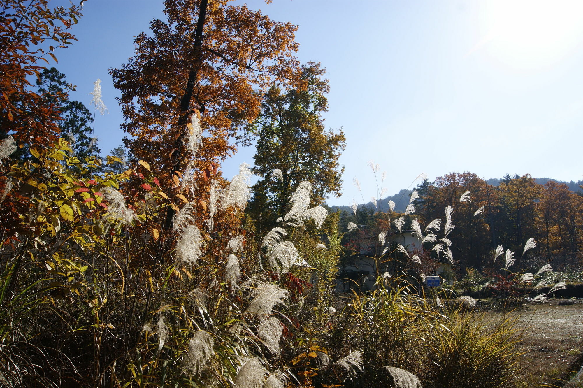 Pension Good Luck Takayama ทาคายาม่า ภายนอก รูปภาพ